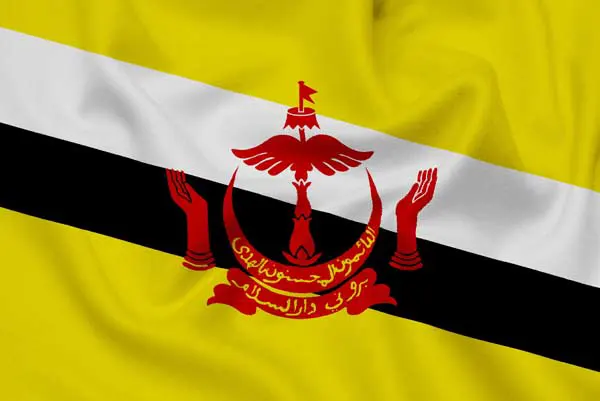 Flag of Brunei with link to flight support services for Brunei.