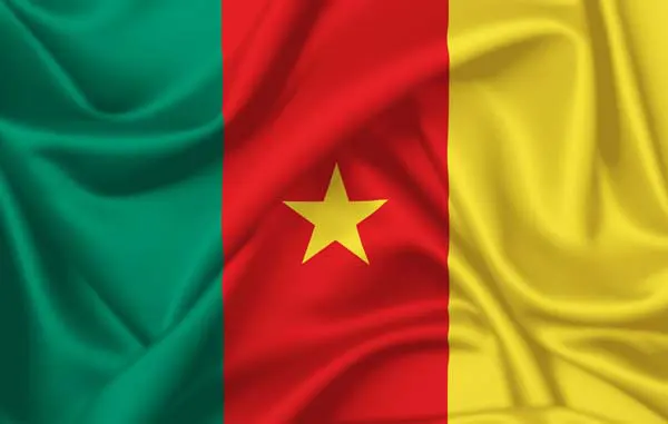 Flag of Cameroon with flight support services.