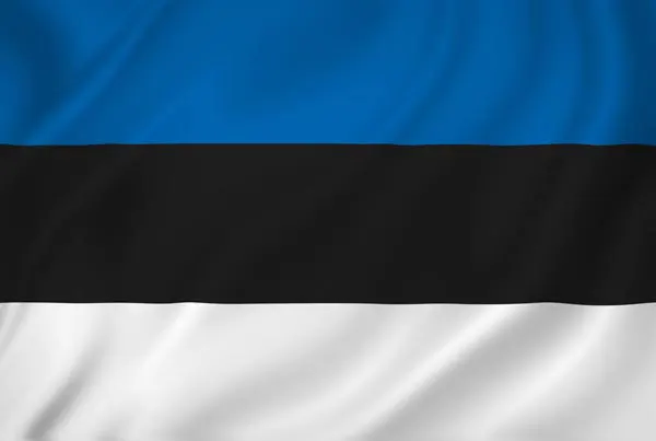 Flag of Estonia with flight support services.