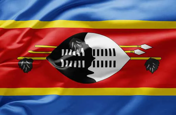 Flag of Eswatini with flight support services.