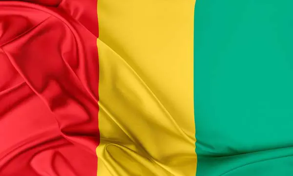 Flag of Guinea with flight support services.