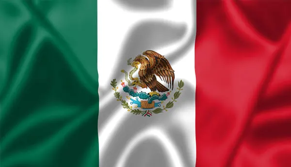 Flag of Mexico with flight support services.