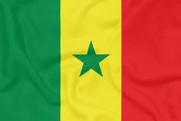 Flag of Senegal with flight support services.