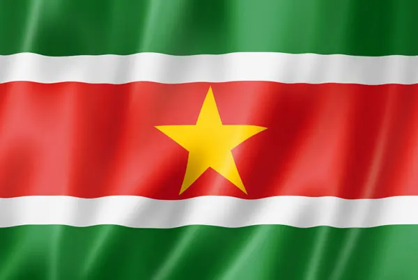 Flag of Suriname with flight support services.