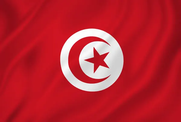 Flag of Tunisia with flight support services.