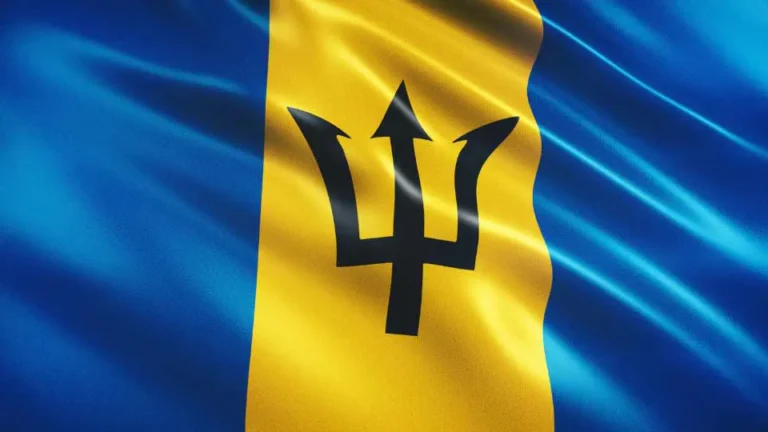 Flag of Barbados with flight support services.