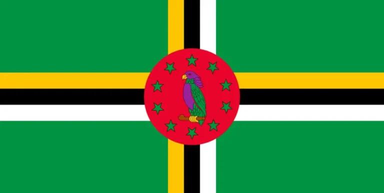 Flag of Dominica with flight support services.